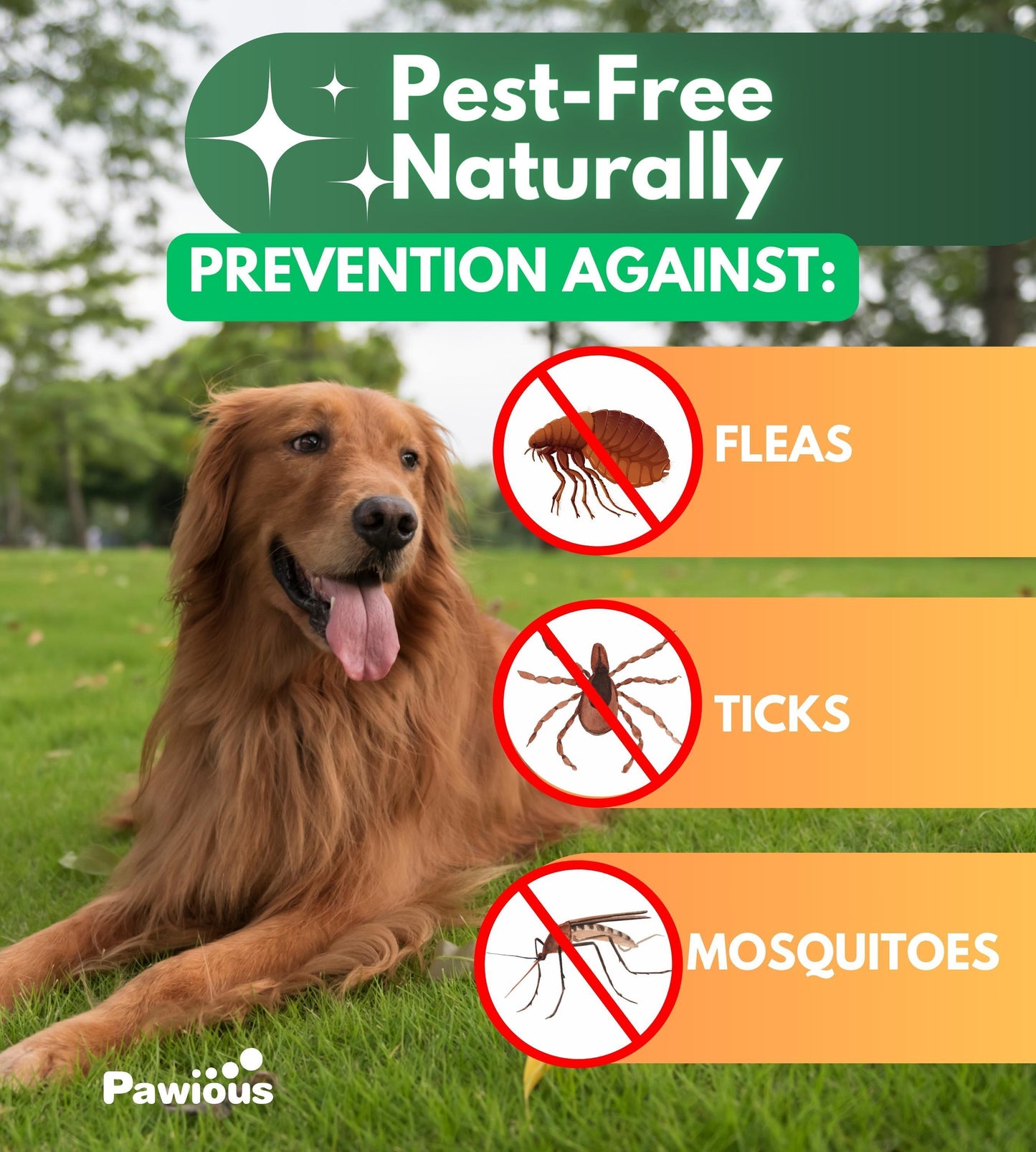 Pawious Flea and Tick Prevention Chewables for Dogs
